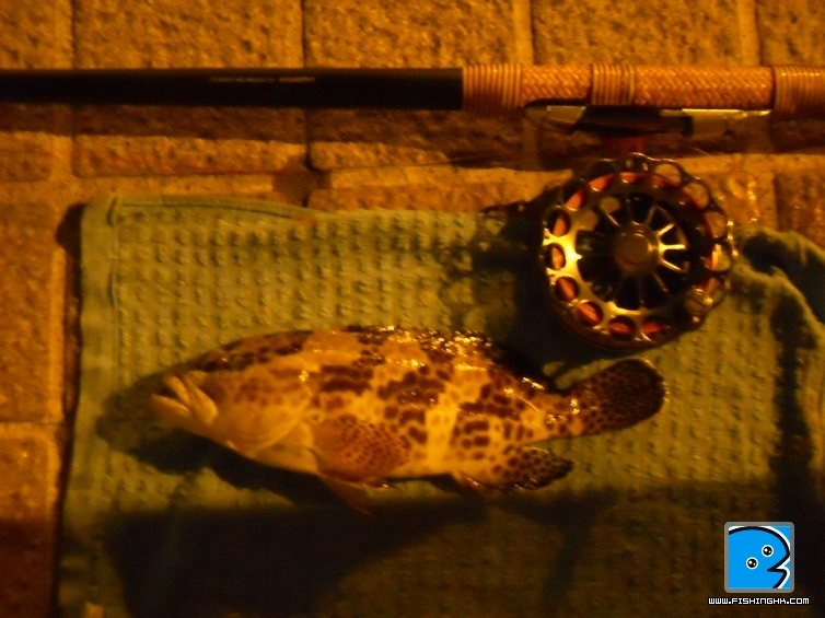 DSCN1539.JPG