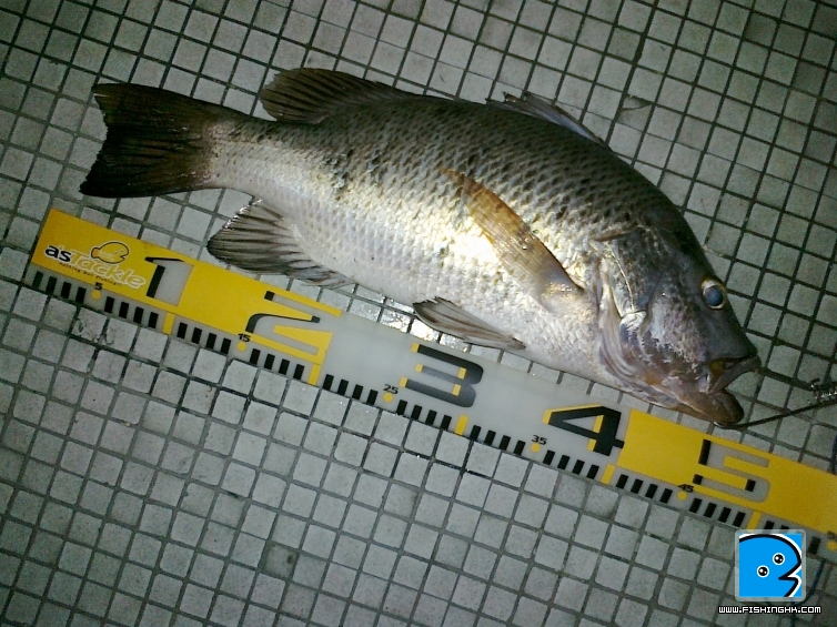 照片 057.jpg