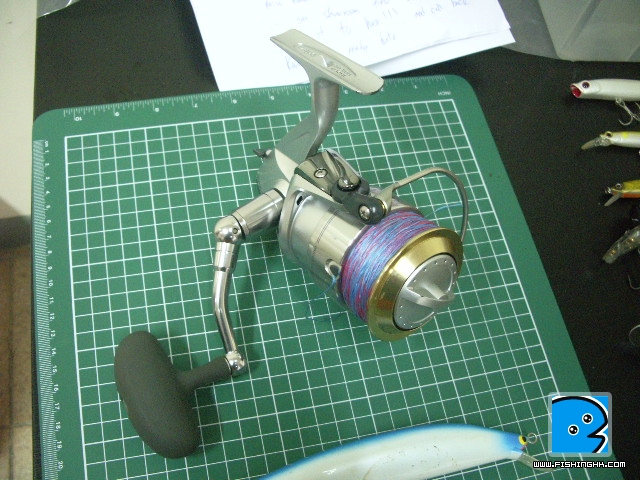 IMGP6692.JPG