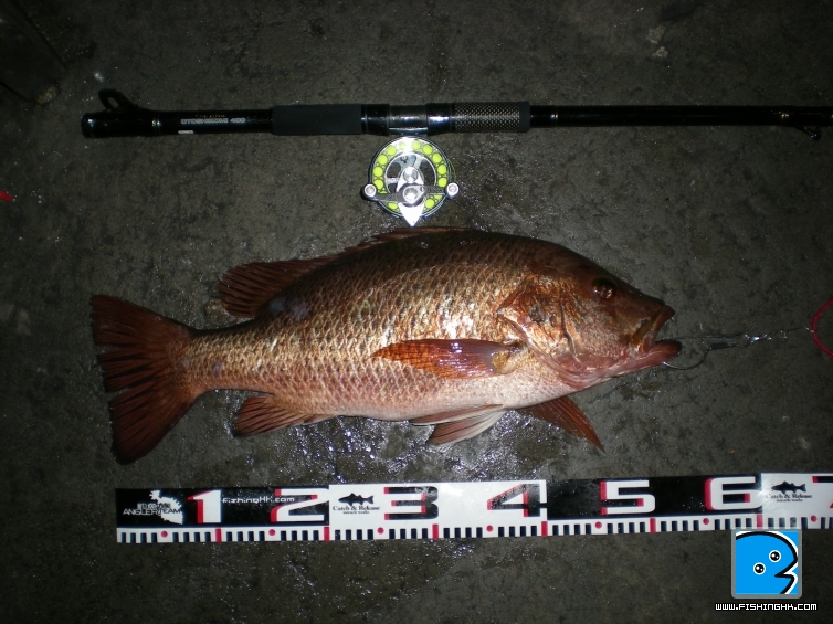 DSCN2996.JPG