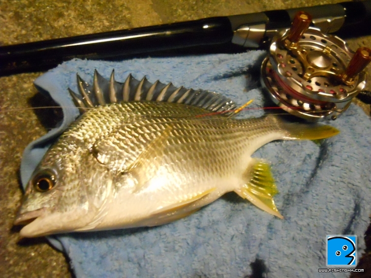 DSCN1638.JPG