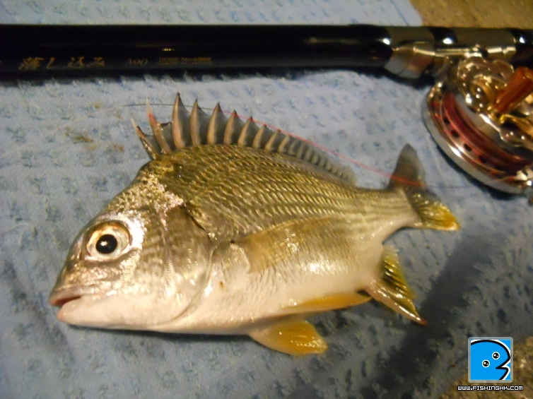 DSCN1642.JPG