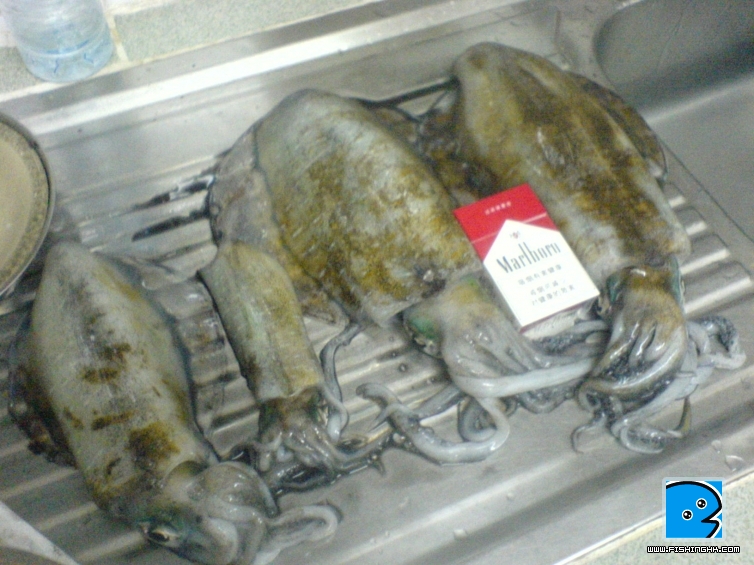 DSC07875.JPG