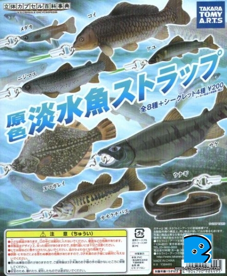 原色淡水魚.jpg