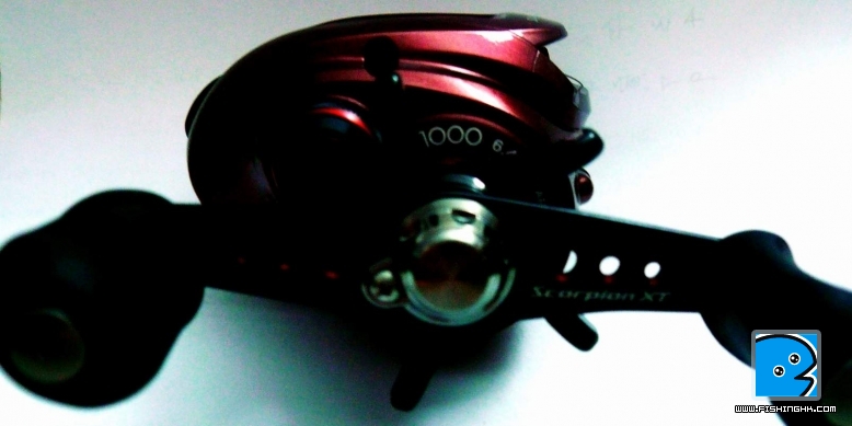P1010821.JPG