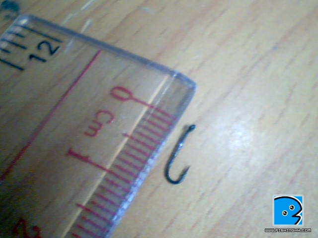 2011-05-29 20-25-09.122.jpg