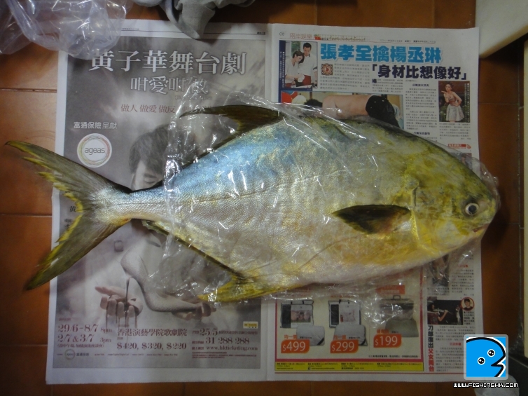 DSC01822.JPG