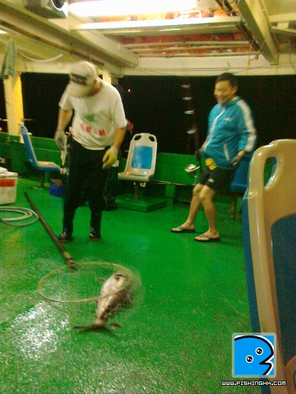 南油遠井 023.jpg