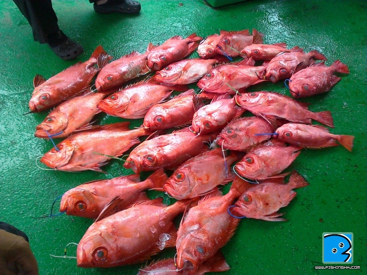 南油遠井 016.jpg