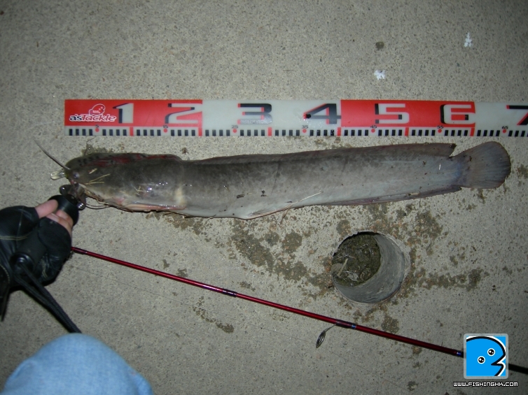 DSCN5574.JPG