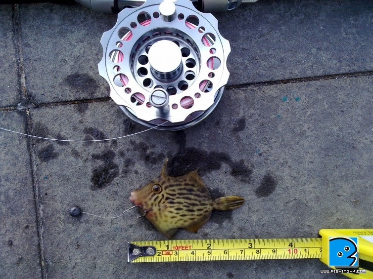 20110603483.jpg