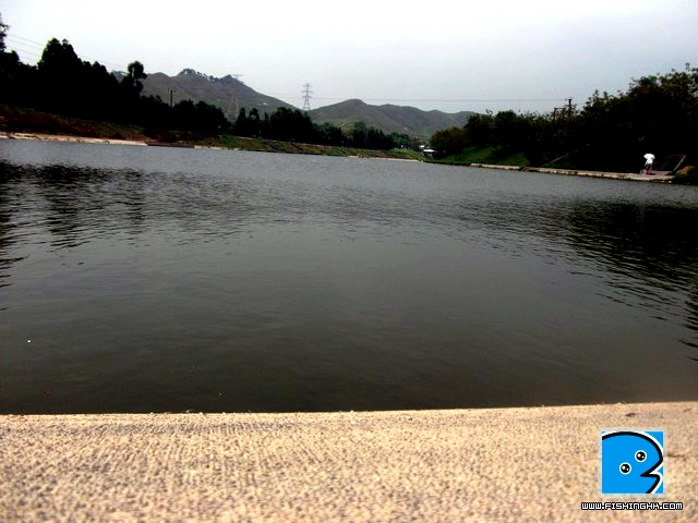 DSCF4967.jpg