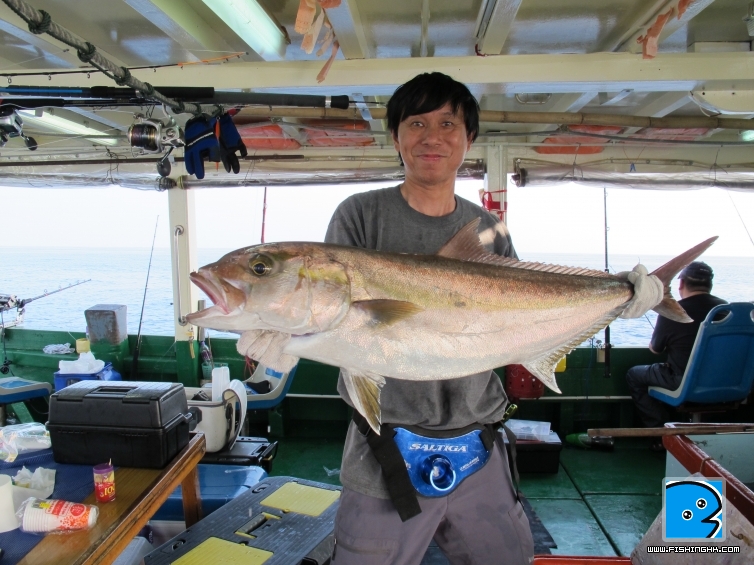 first Amberjack