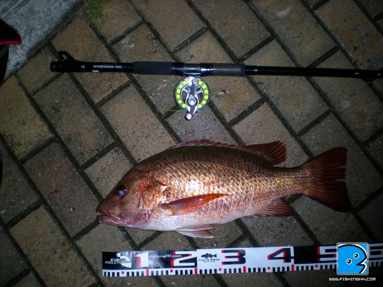SAM_3484.JPG