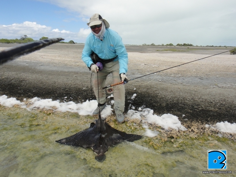 Stingray.JPG