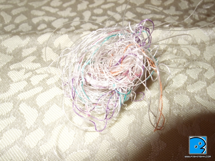 DSCF1691.JPG