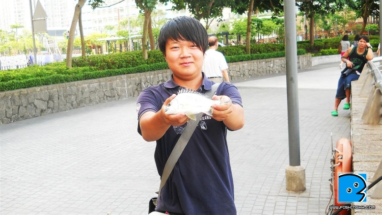 DSCN1873.JPG