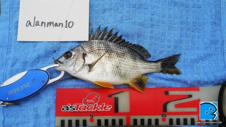 DSCN1878.JPG