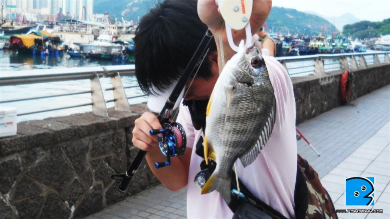 DSCN1919.JPG