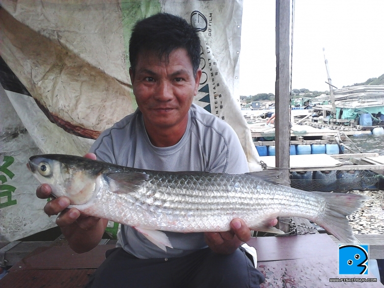 IMG00027.jpg