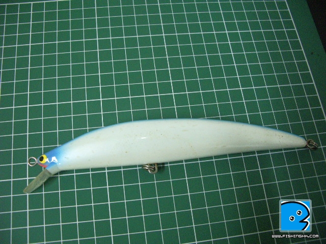 IMGP6699.JPG