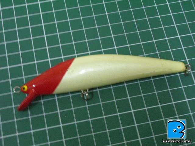 IMGP6715.JPG