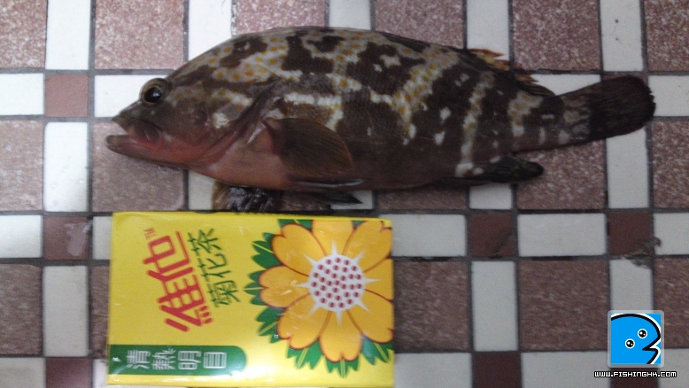 20110619061.JPG