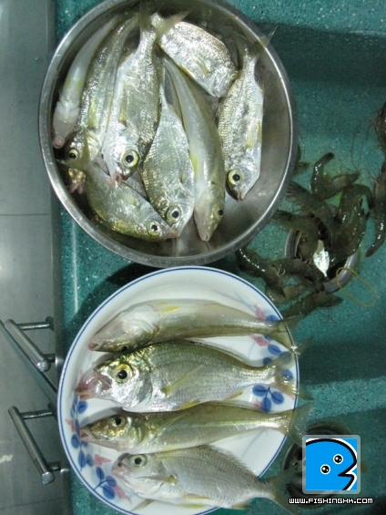 IMG_6795.JPG