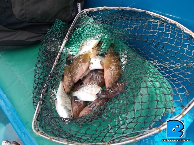 20110628_a6d11e8996178c5862182kpLi7Db7aa3.jpg