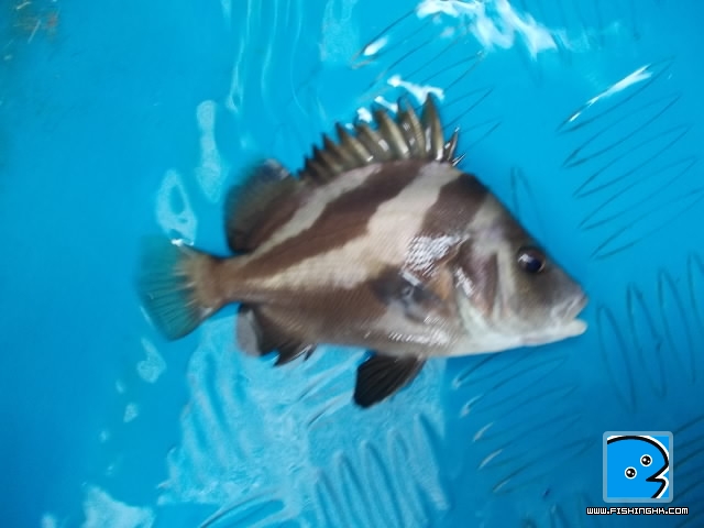 20110628_0a378bb451a685d7ac7aDPxbq5SUE1di.jpg
