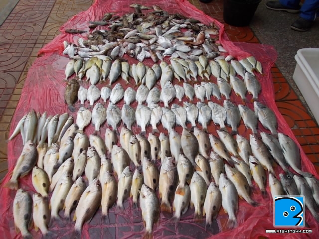 20110628_dd9cedea65b42678100dmn1ghkUwInkW.jpg