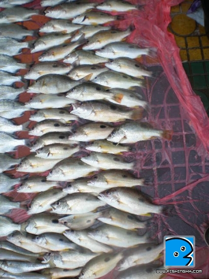27一6一2011 012.JPG