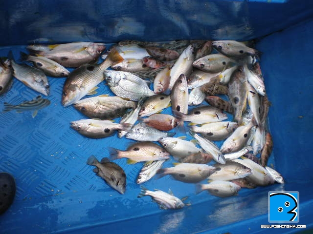 27一6一2011 002.JPG