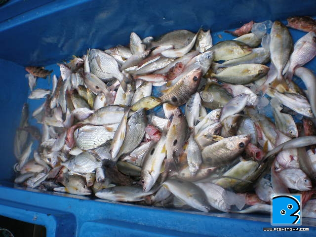 27一6一2011 003.JPG