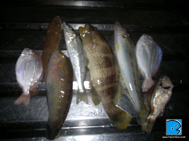 20110701951.jpg
