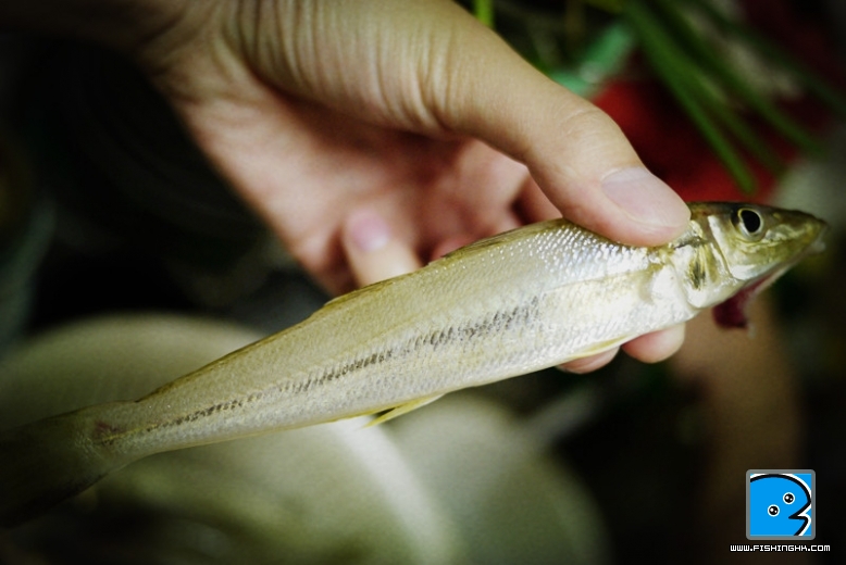 P1170159_副本.jpg