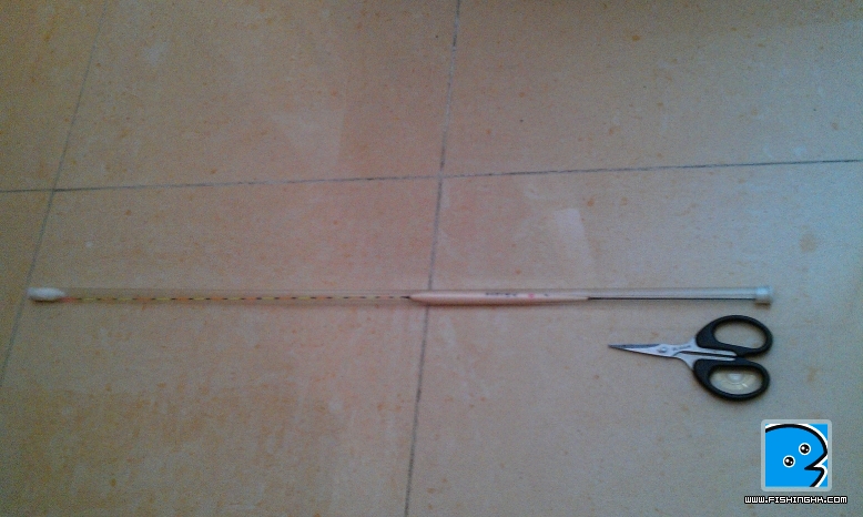 IMAG0033.jpg