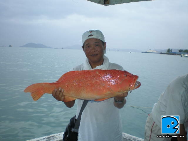 30–6–11沙巴 016.JPG