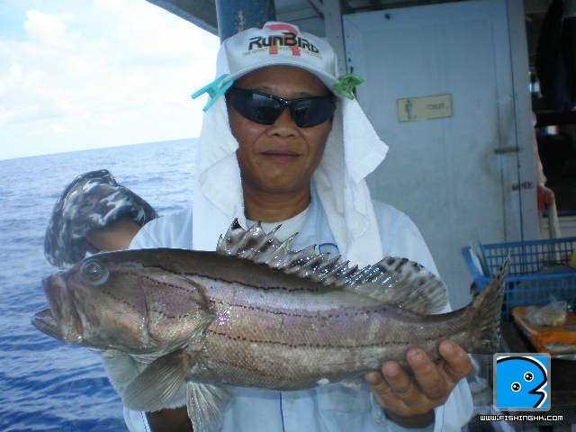 30–6–11沙巴 003.JPG