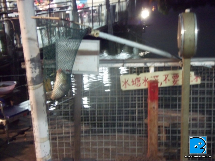 DSCF5634.JPG