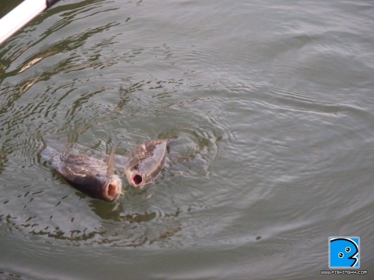 DSCF5850.JPG