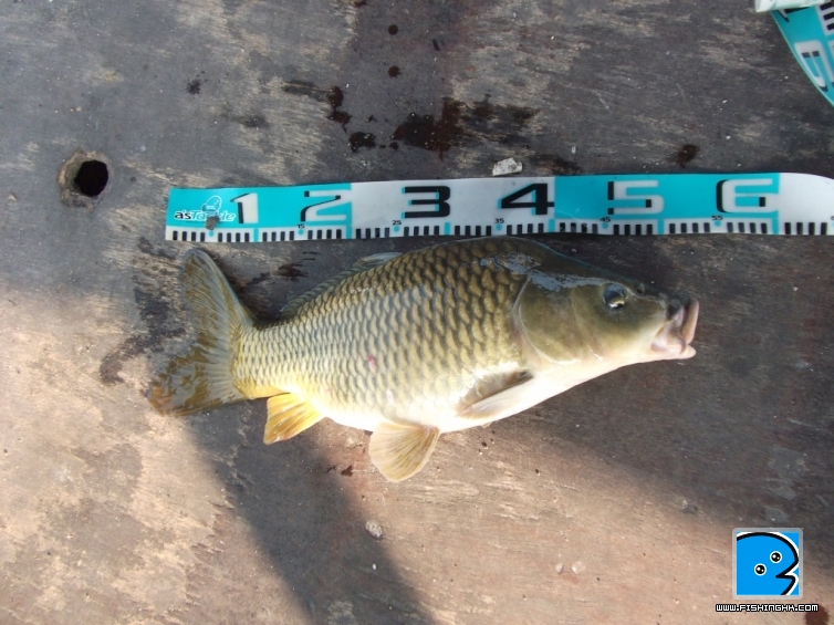 DSCF5870.JPG