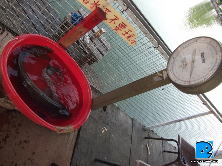 DSCF5886.JPG