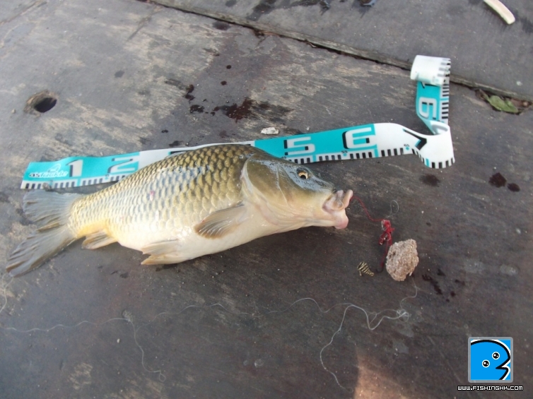 DSCF5871.JPG