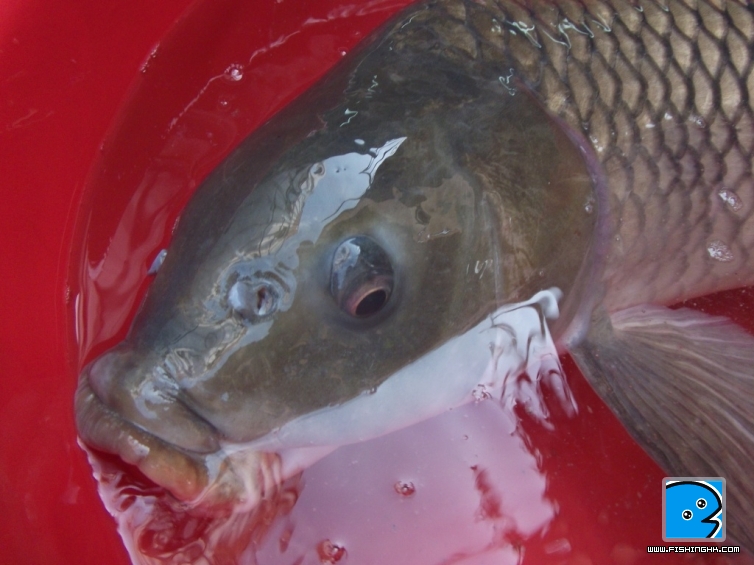 DSCF5878.JPG