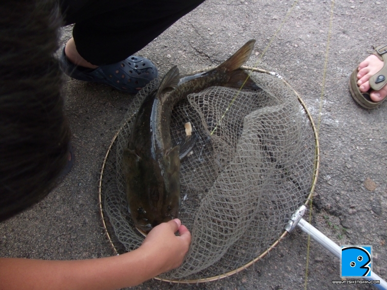 DSCF5897.JPG