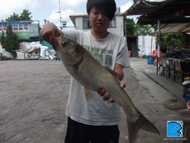 DSCF5909.JPG