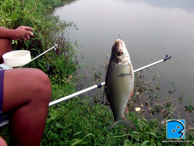 DSCF6008.jpg