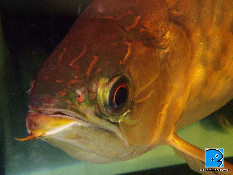 P3150009.JPG
