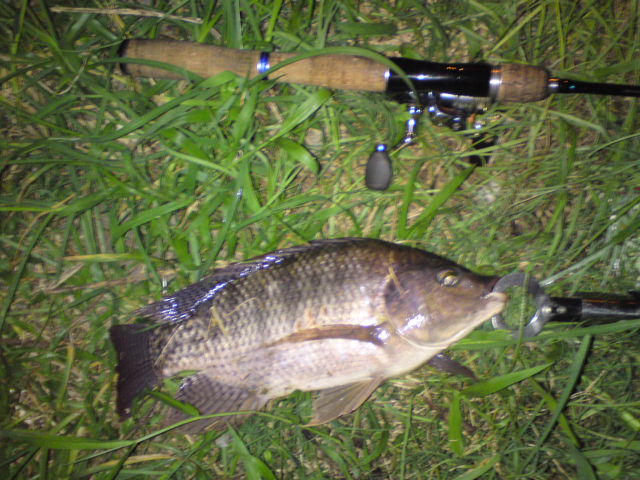 DSC04564.JPG